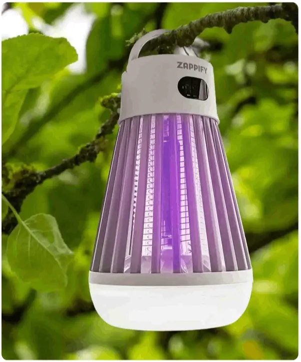 Portable insect zapper hanging from a leafy branch outdoors